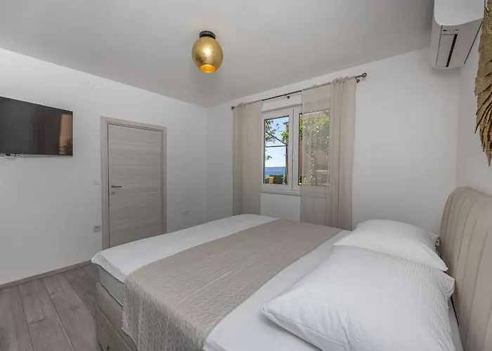 Zana * 茨里克韦尼察