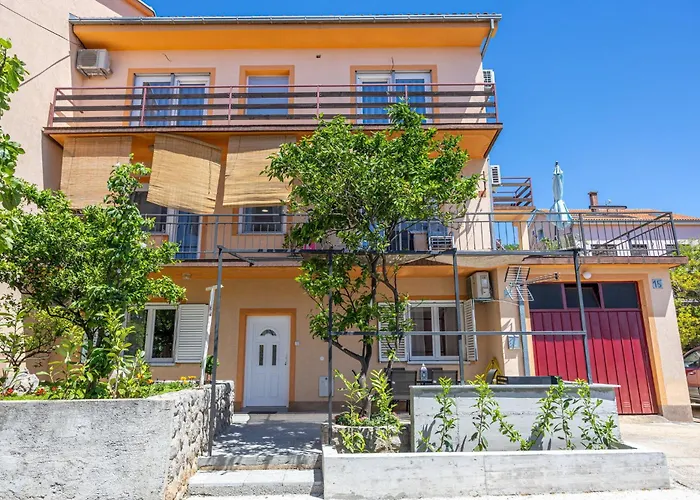 Zana * 茨里克韦尼察