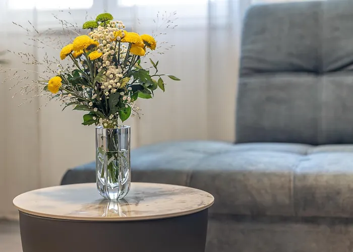 公寓 Zana 茨里克韦尼察